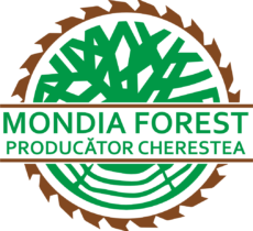Mondia Forest - Logo Color Mondia Forest - Logo Color